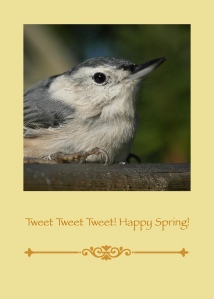 Happy Spring Bird